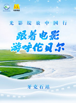 欧美日本一区二区视频在线观看